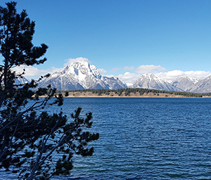 daTRAVEL - USA Teatons